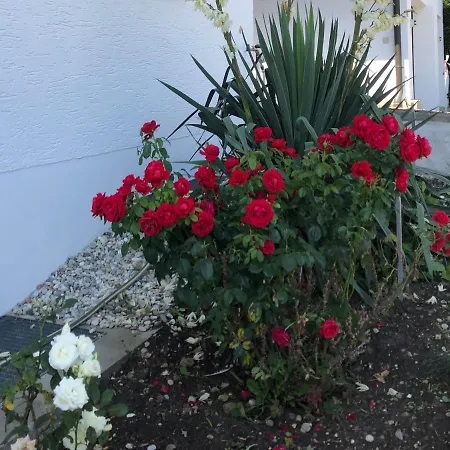 Apartment Am Lindenfeld Bad Griesbach (Bavaria)