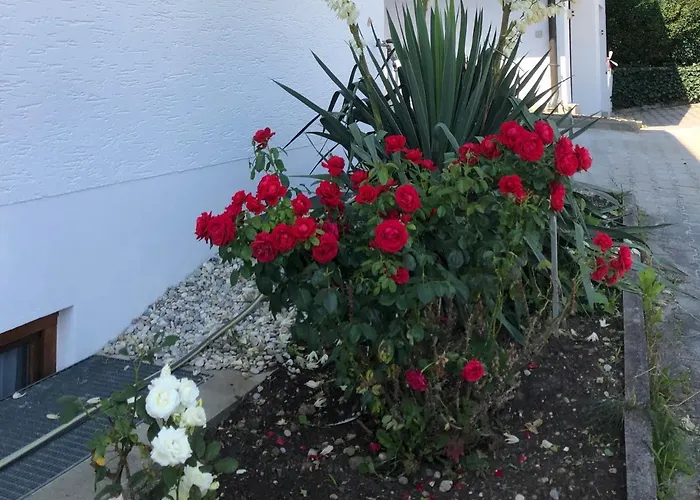 Apartment Am Lindenfeld Bad Griesbach im Rottal